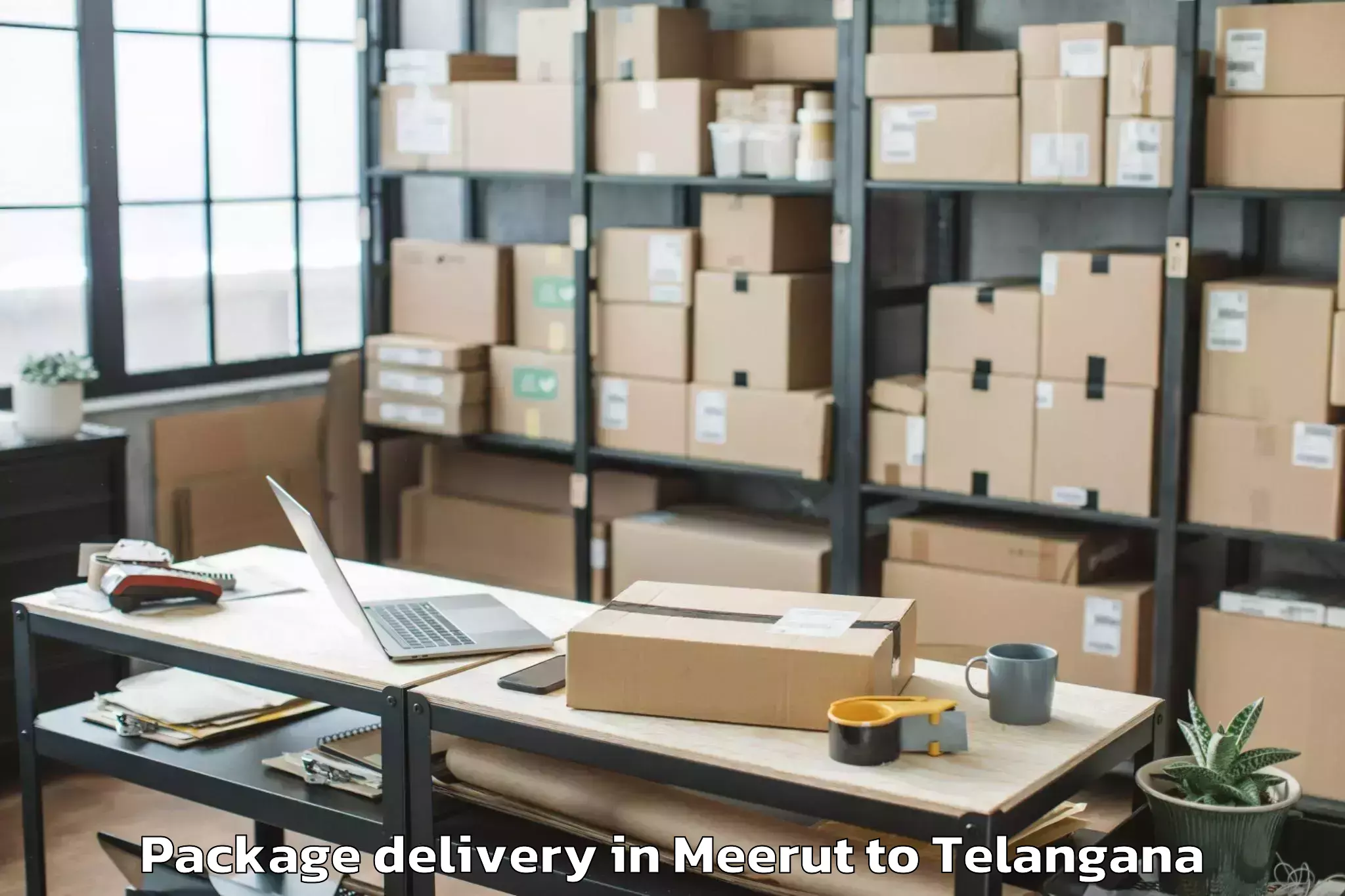 Book Meerut to Narketpalle Package Delivery Online